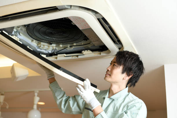 Best Local Air Duct Cleaning Services  in Grand Ledge, MI